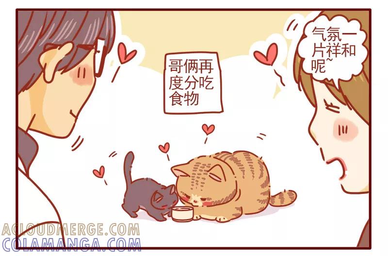 我只是一只小猫咪 第11话 第7页