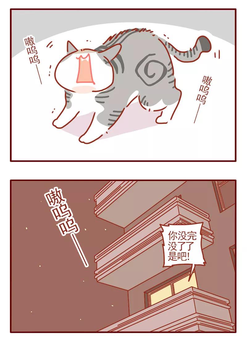 我只是一只小猫咪 第11话 第10页