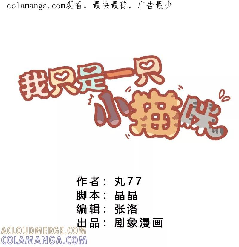 我只是一只小猫咪 第11话 第1页