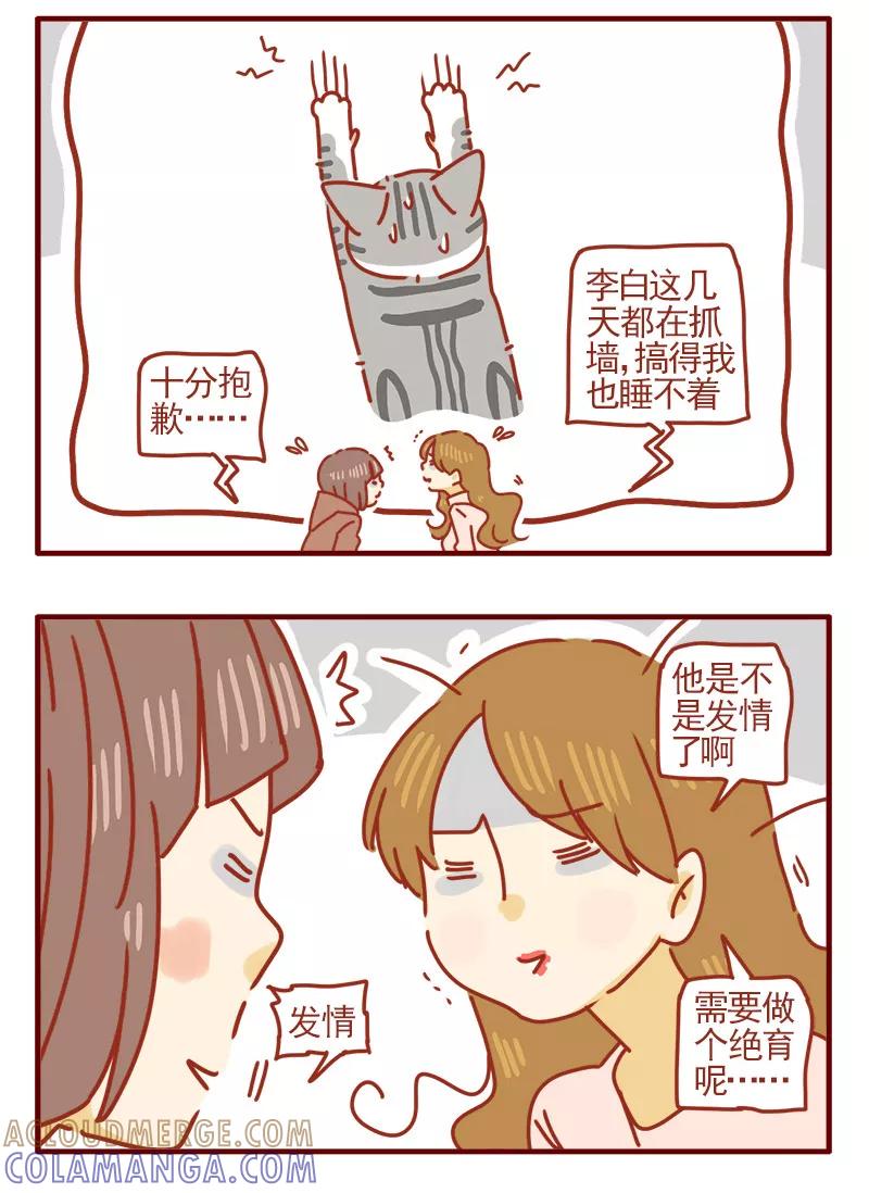 我只是一只小猫咪 第11话 第15页