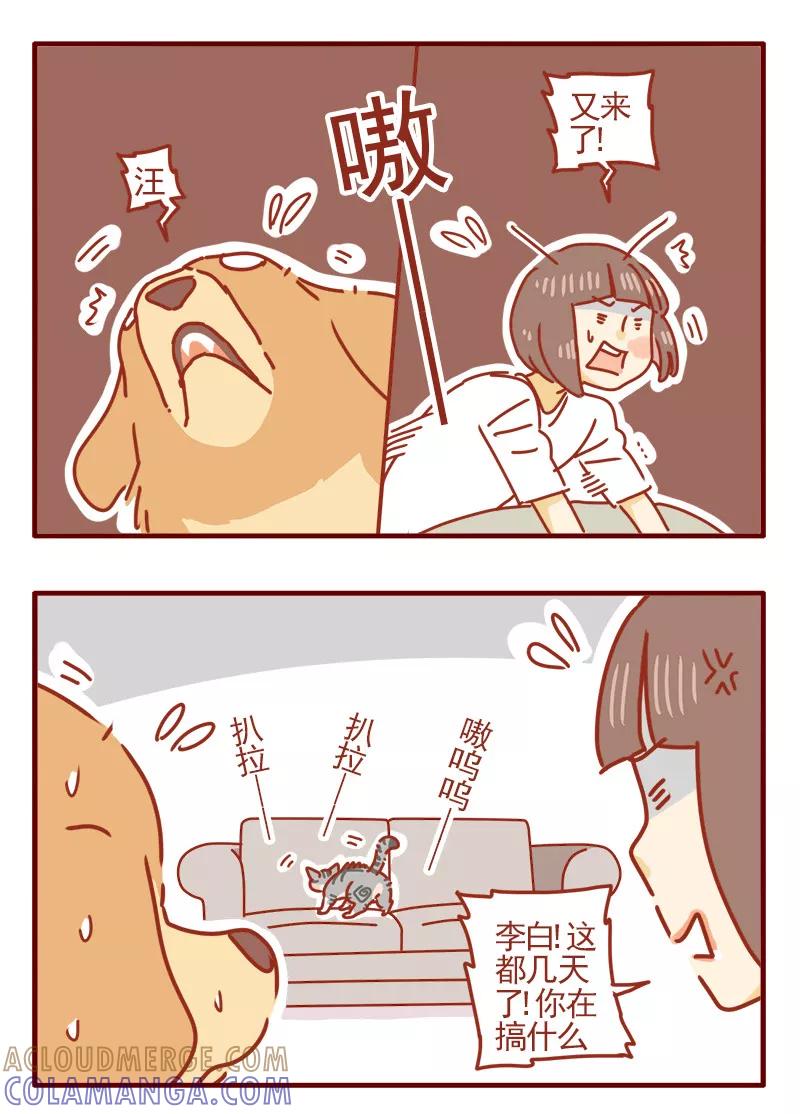 我只是一只小猫咪 第11话 第9页
