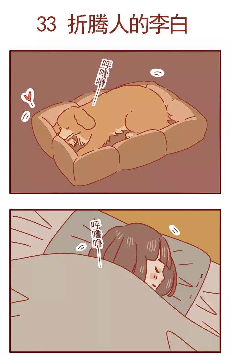 我只是一只小猫咪 第11话 第8页