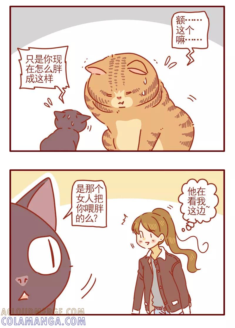 我只是一只小猫咪 第11话 第5页