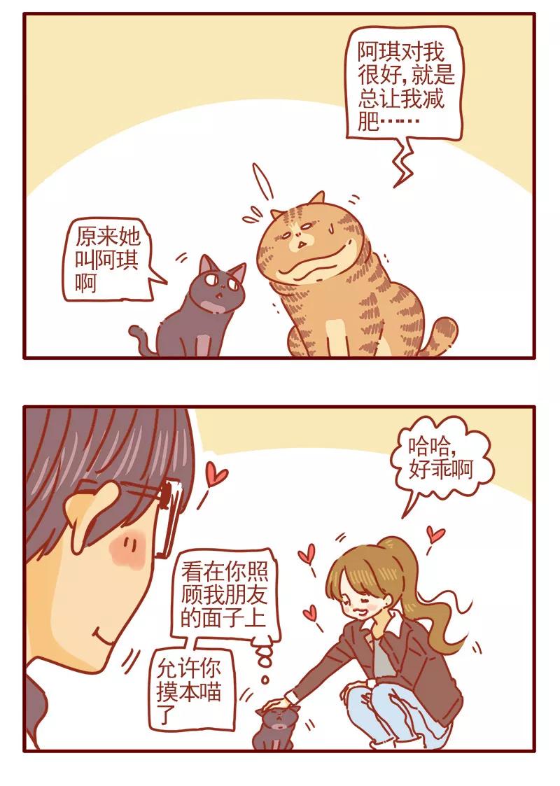 我只是一只小猫咪 第11话 第6页