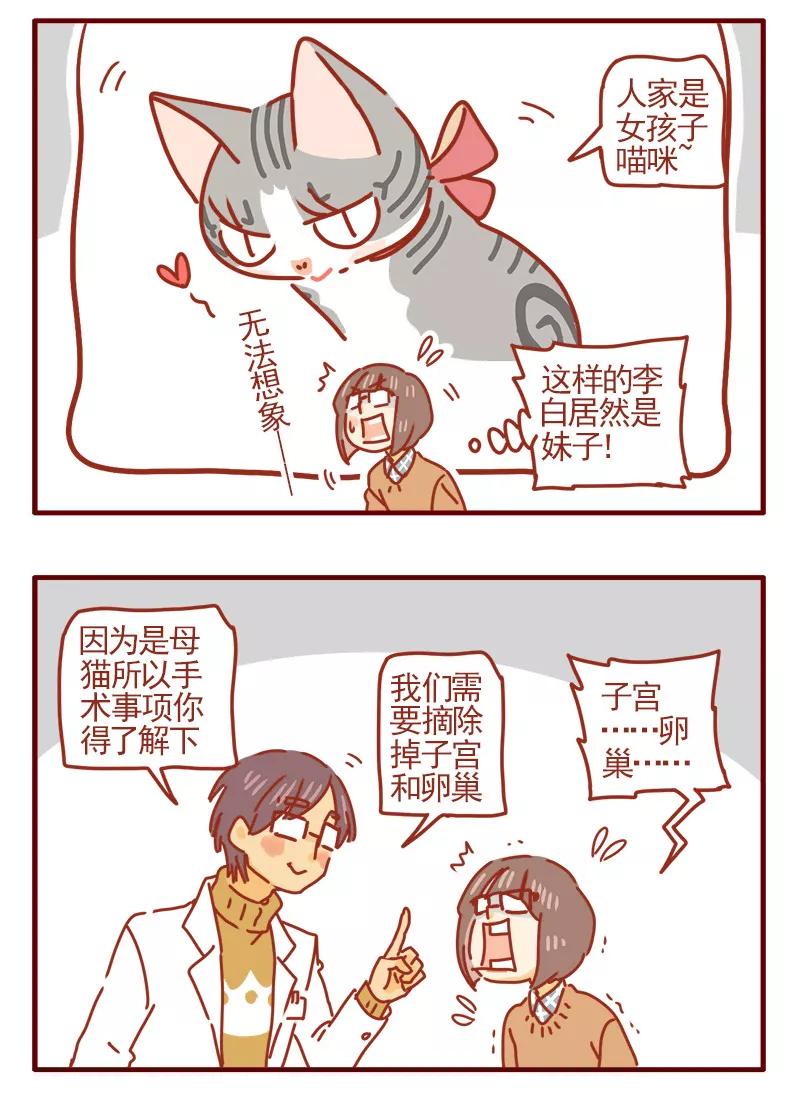 我只是一只小猫咪 第12话 第10页