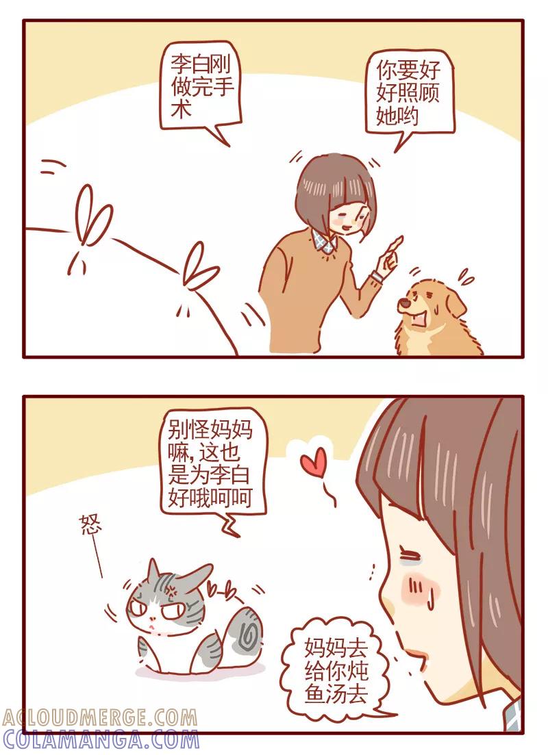 我只是一只小猫咪 第12话 第13页