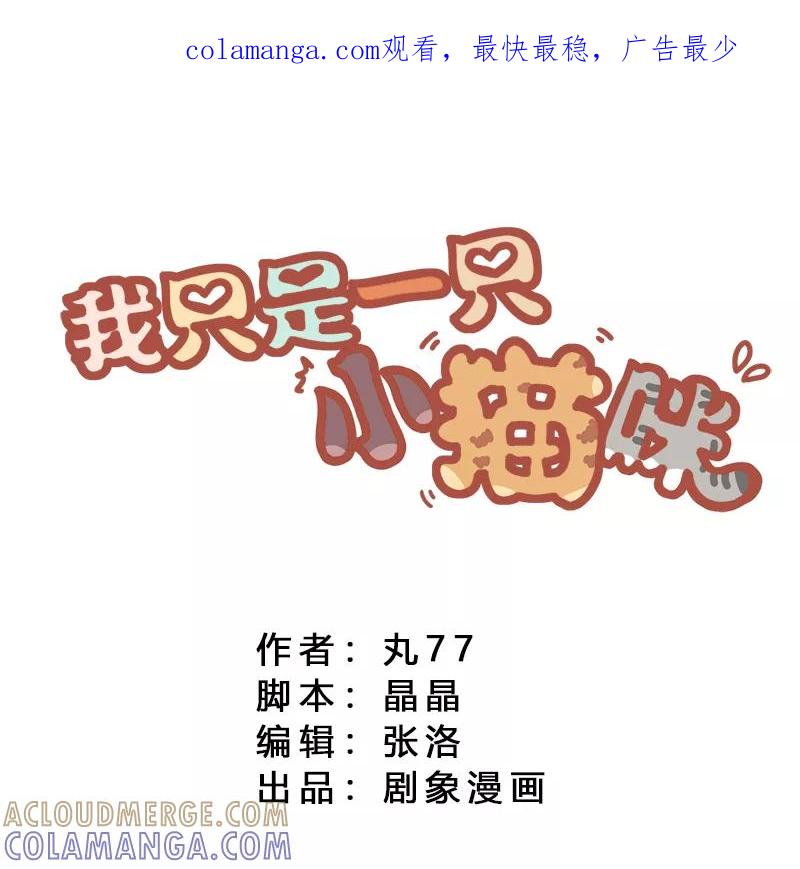 我只是一只小猫咪 第12话 第1页