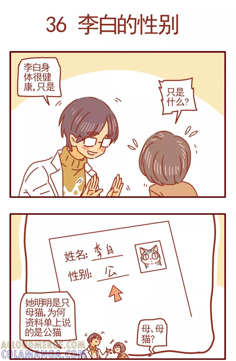 我只是一只小猫咪 第12话 第7页