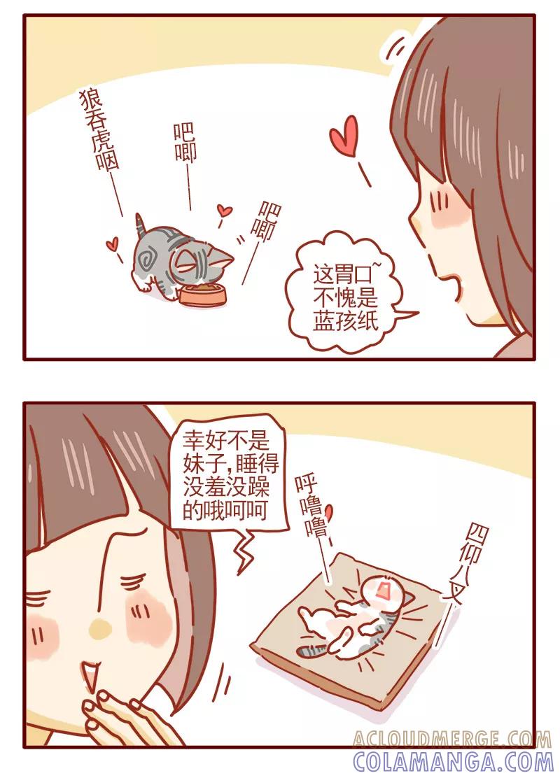 我只是一只小猫咪 第12话 第9页