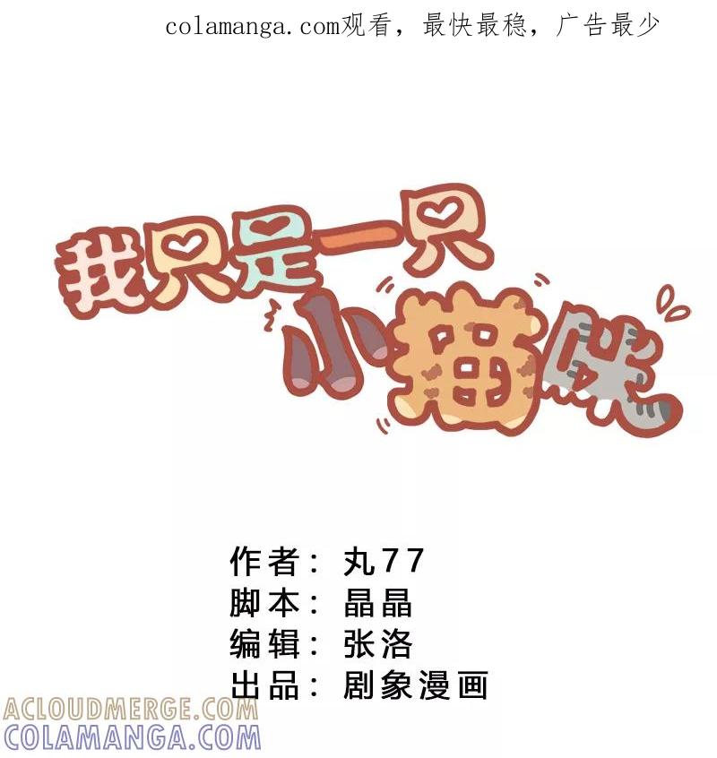 我只是一只小猫咪 第13话 第1页