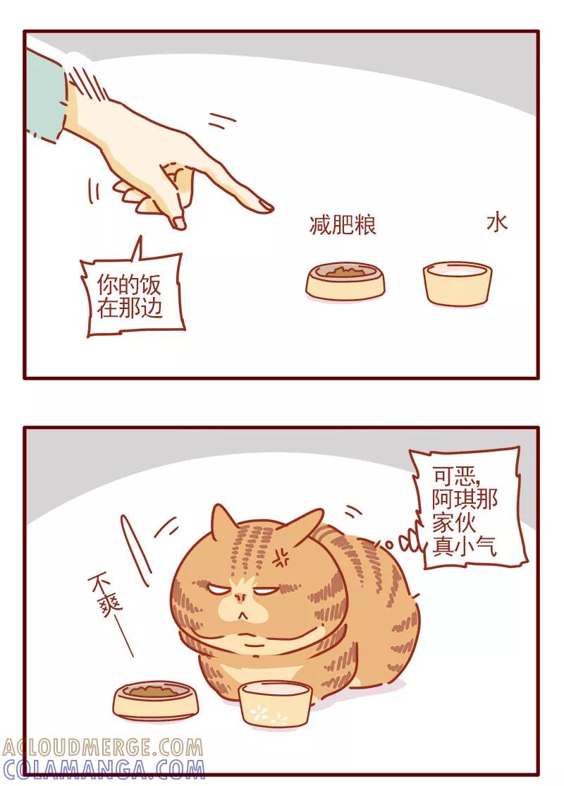 我只是一只小猫咪 第13话 第11页