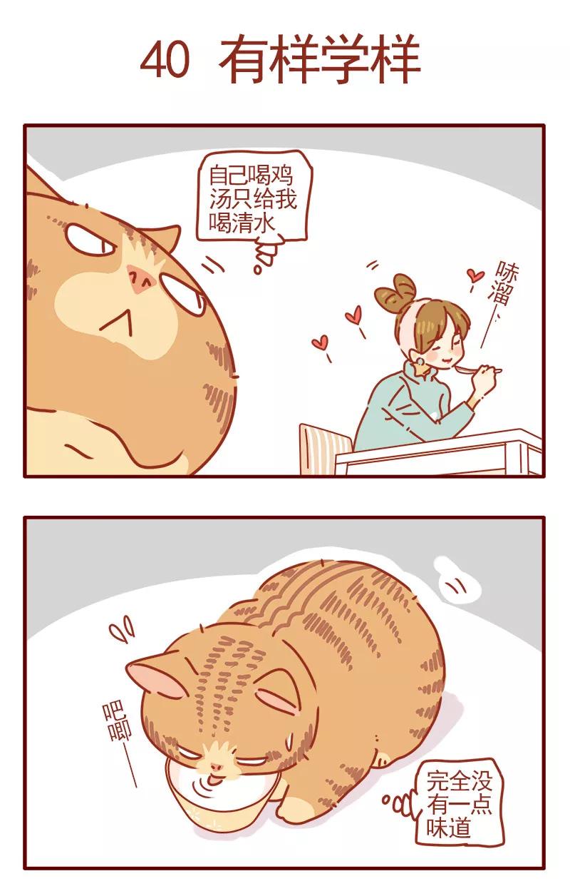 我只是一只小猫咪 第13话 第12页