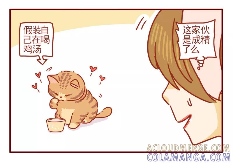 我只是一只小猫咪 第13话 第15页