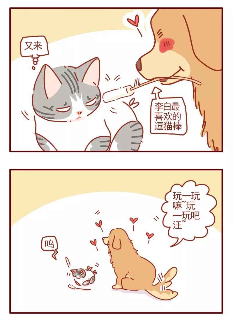 我只是一只小猫咪 第13话 第4页