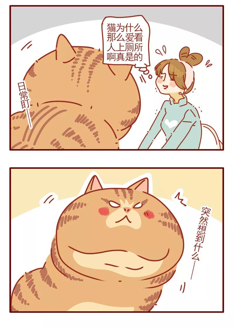 我只是一只小猫咪 第14话 第4页