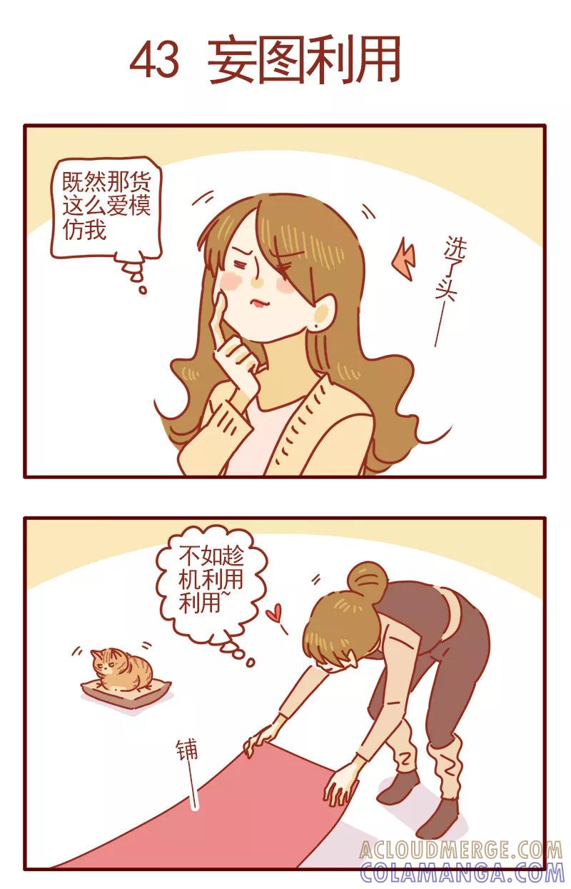 我只是一只小猫咪 第14话 第11页