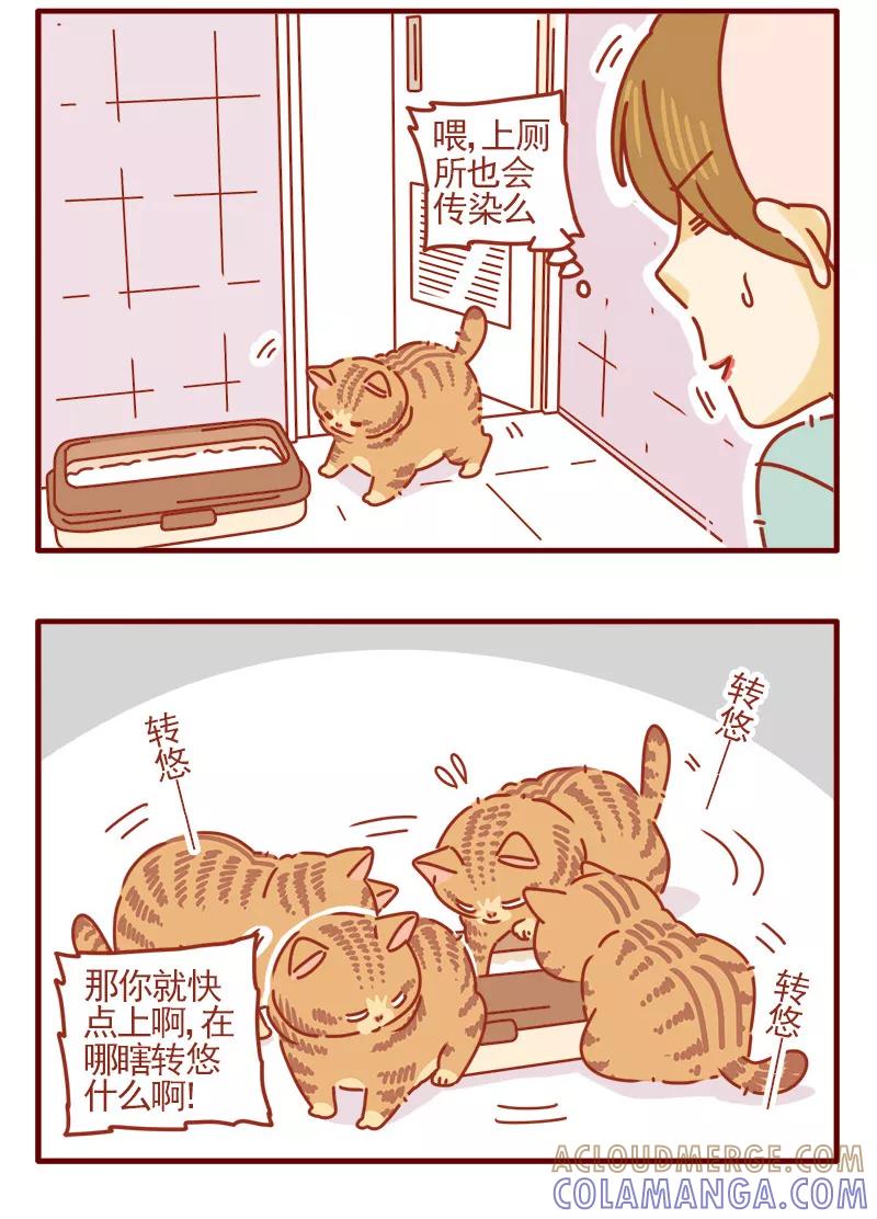 我只是一只小猫咪 第14话 第5页