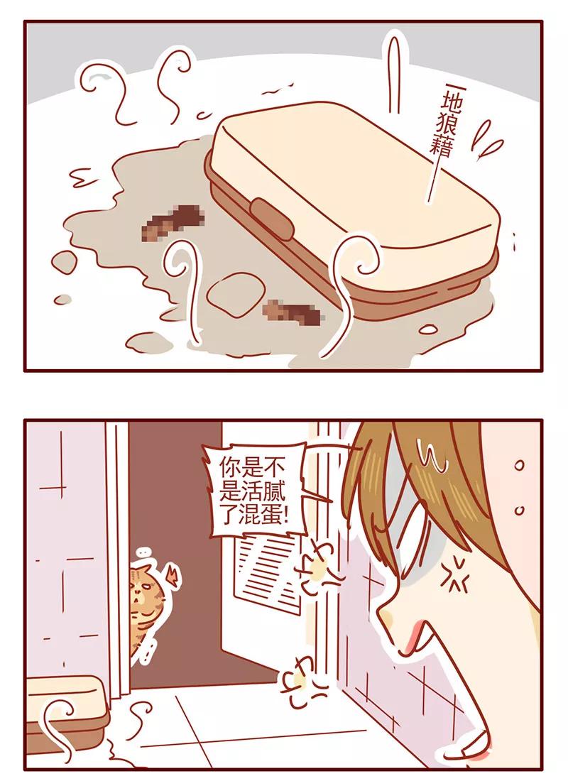 我只是一只小猫咪 第14话 第10页