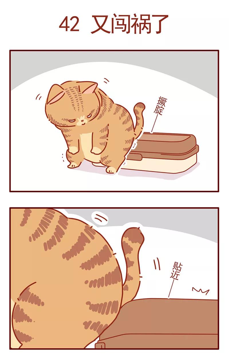 我只是一只小猫咪 第14话 第6页