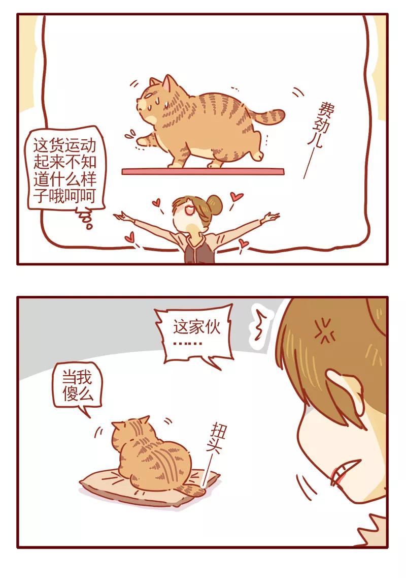 我只是一只小猫咪 第14话 第14页