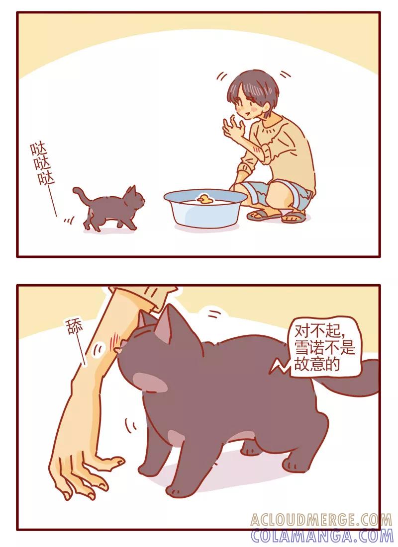 我只是一只小猫咪 第15话 第13页