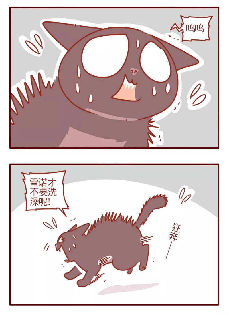我只是一只小猫咪 第15话 第8页