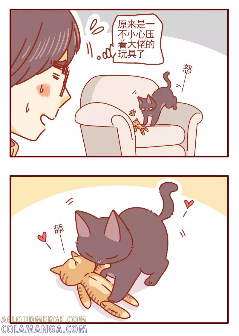 我只是一只小猫咪 第15话 第5页