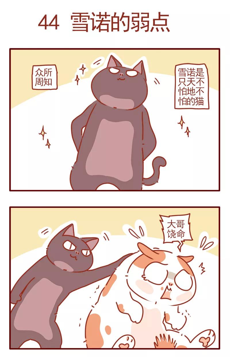 我只是一只小猫咪 第15话 第2页