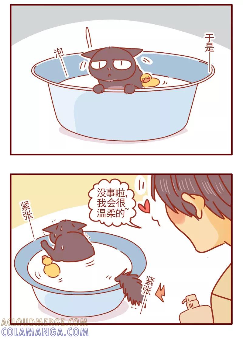 我只是一只小猫咪 第15话 第15页