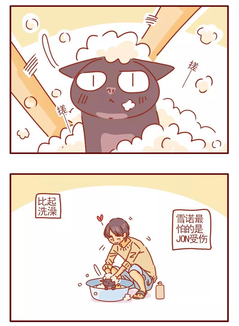 我只是一只小猫咪 第15话 第16页