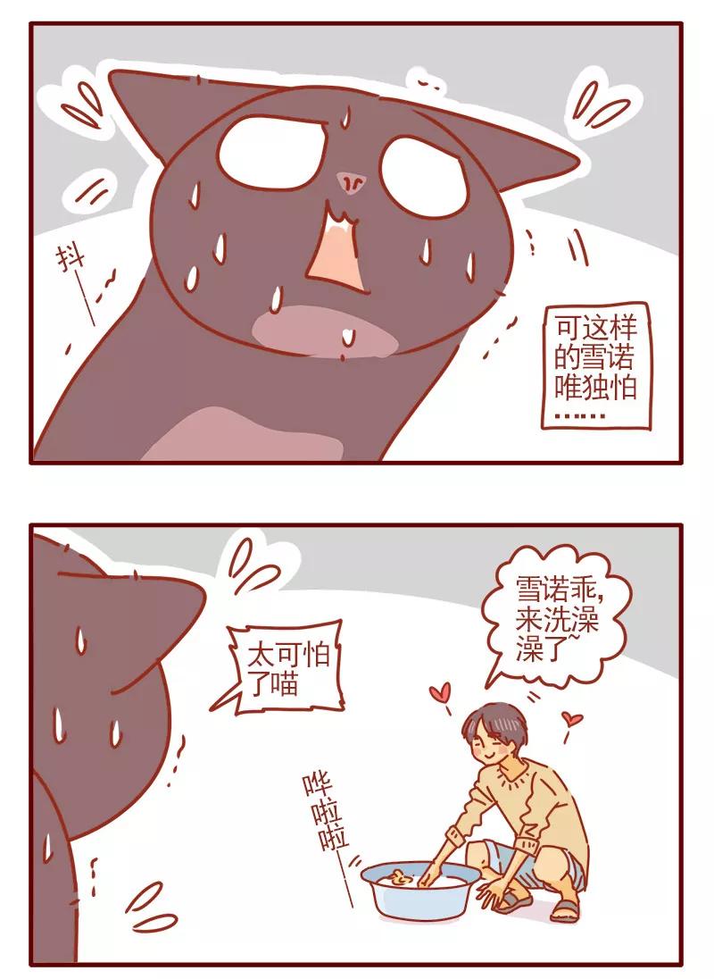 我只是一只小猫咪 第15话 第6页
