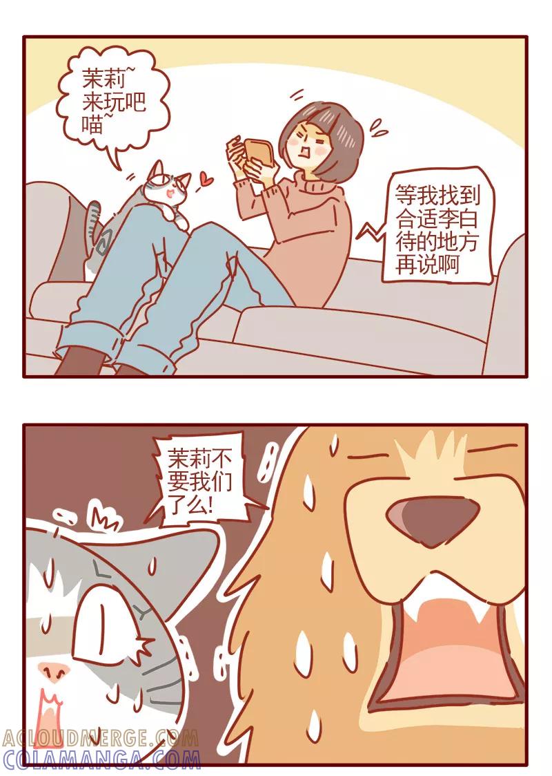 我只是一只小猫咪 第16话 第17页