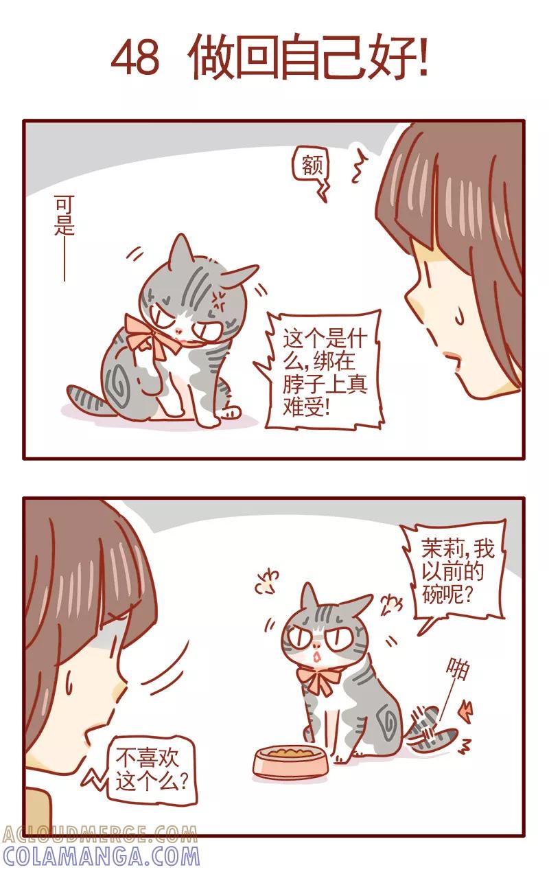 我只是一只小猫咪 第16话 第7页