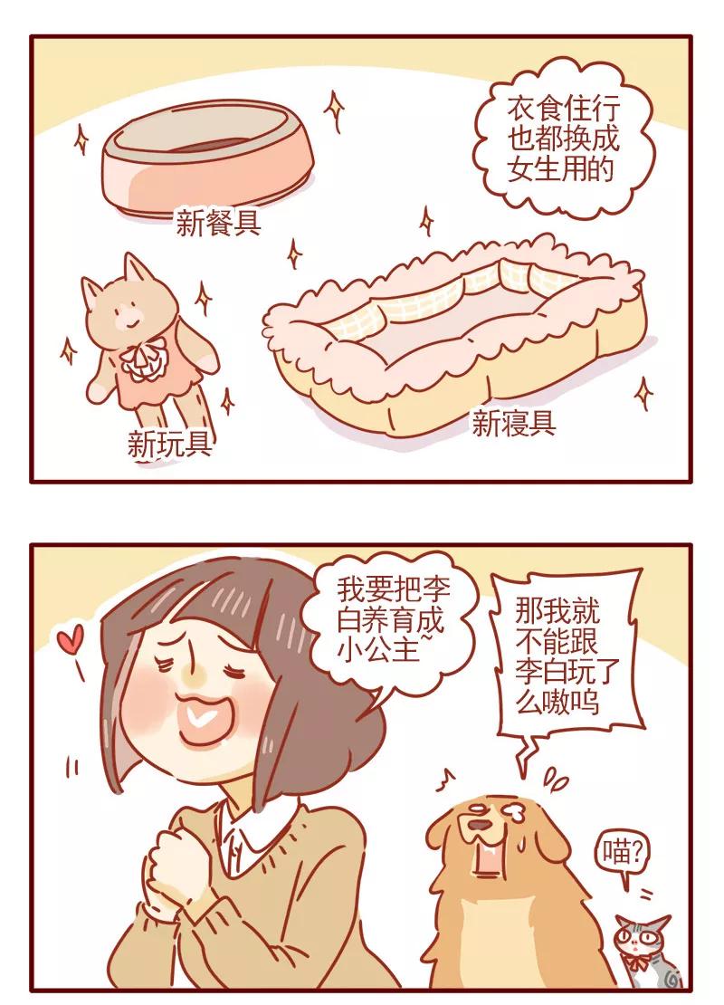 我只是一只小猫咪 第16话 第6页