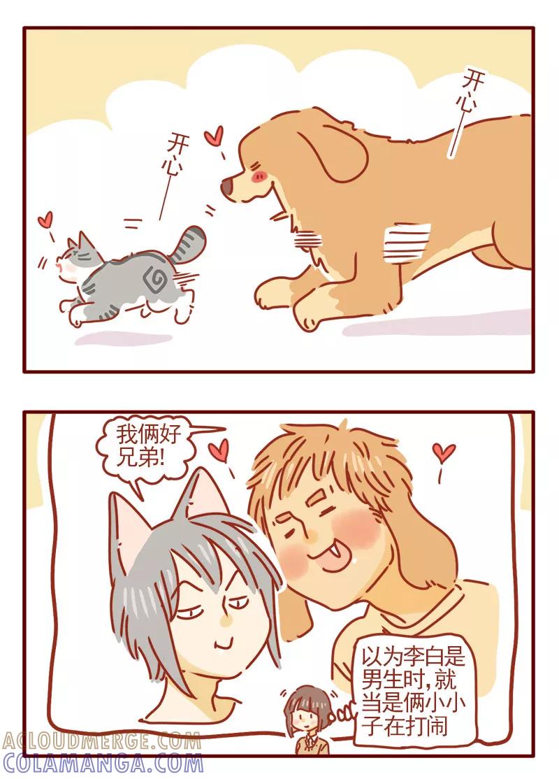 我只是一只小猫咪 第16话 第3页