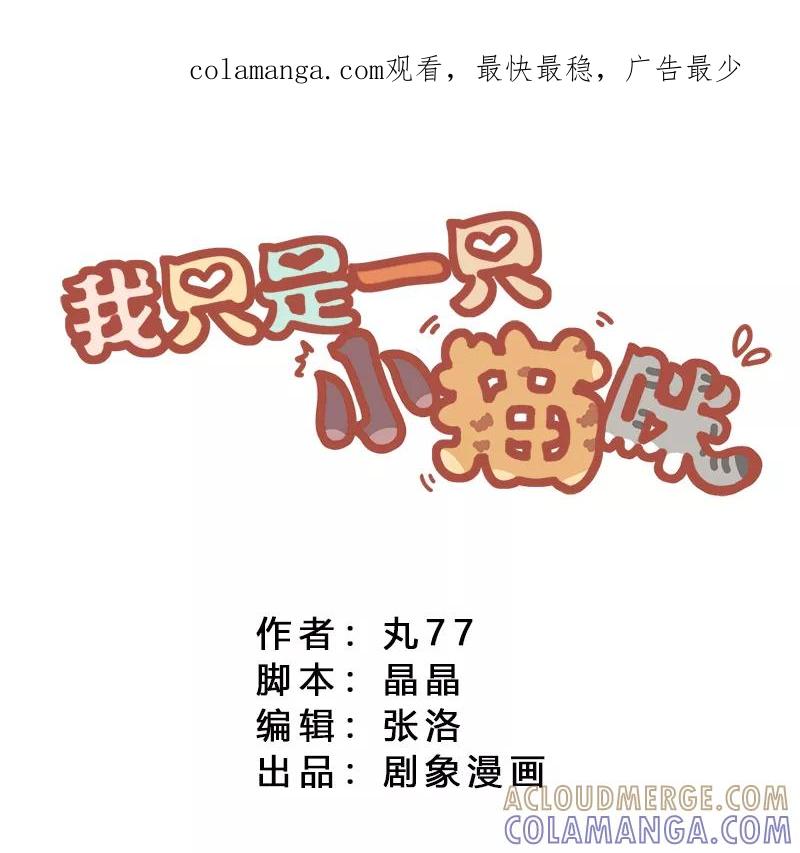 我只是一只小猫咪 第16话 第1页