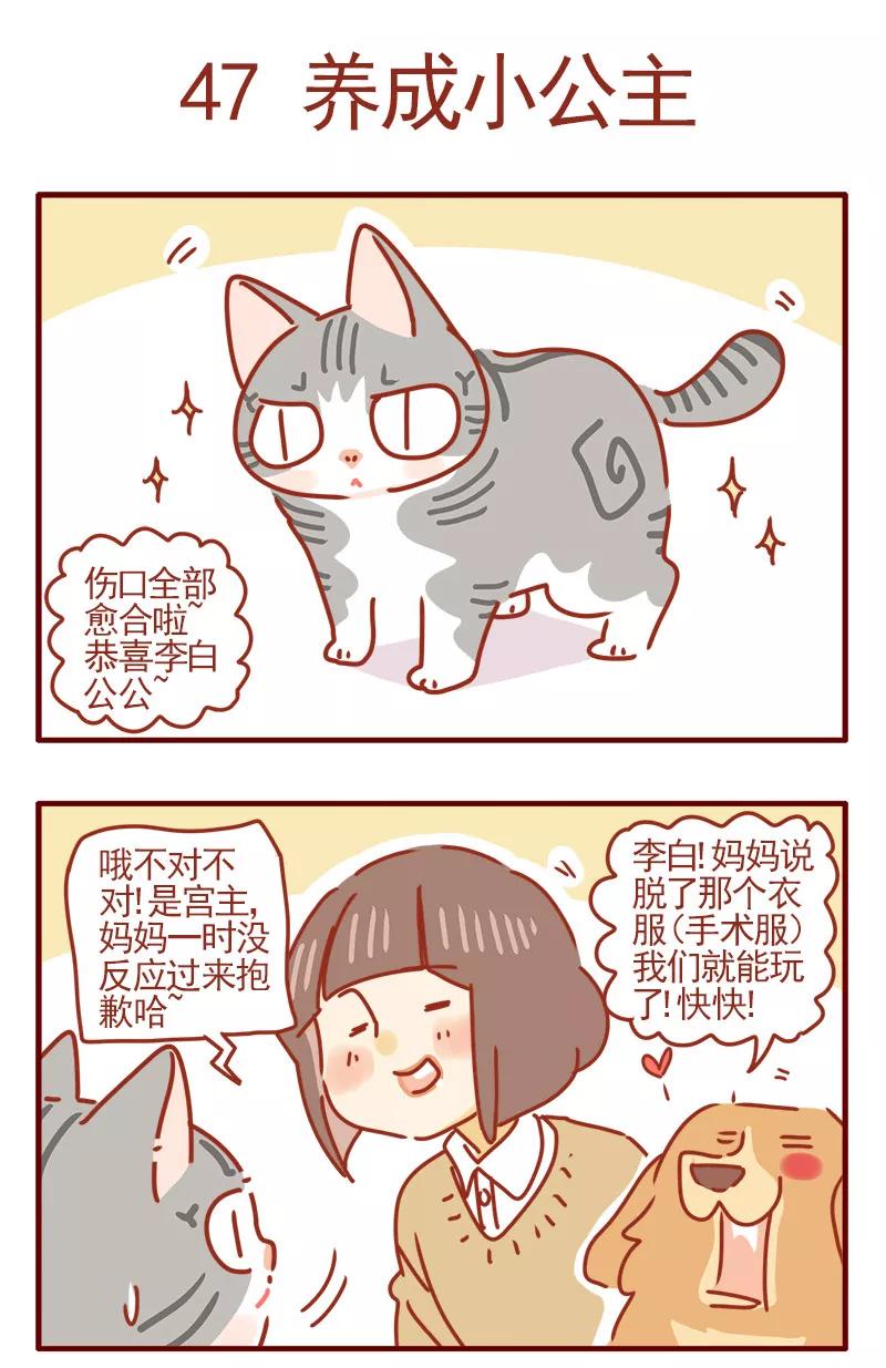 我只是一只小猫咪 第16话 第2页