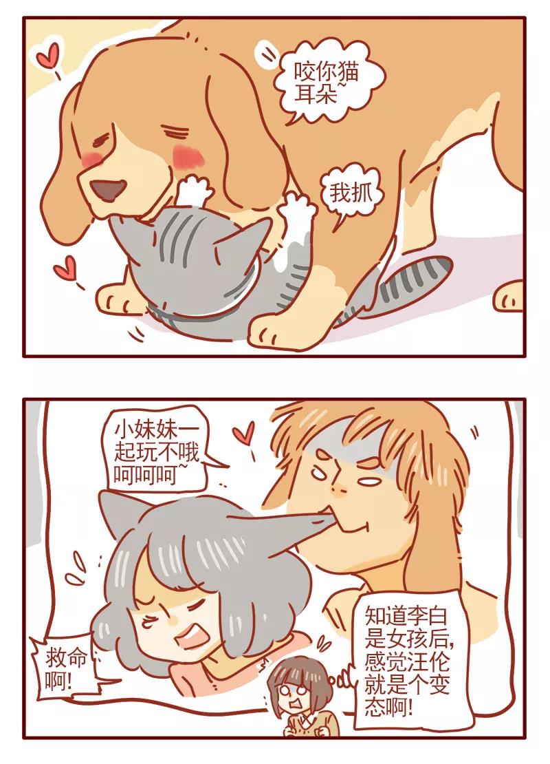 我只是一只小猫咪 第16话 第4页