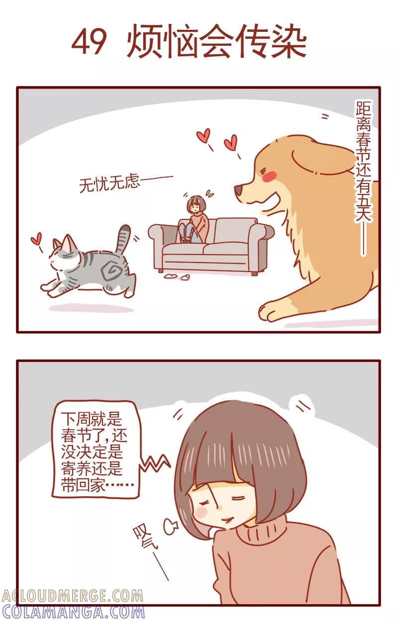 我只是一只小猫咪 第16话 第13页
