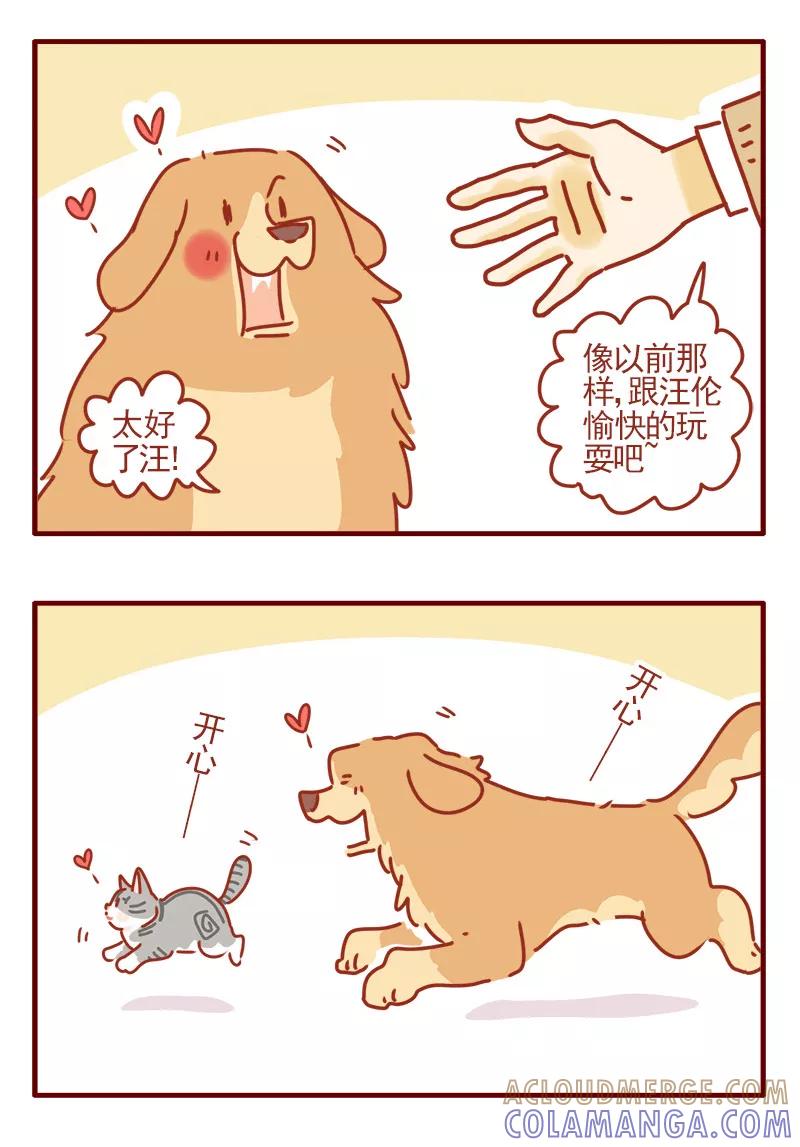我只是一只小猫咪 第16话 第11页