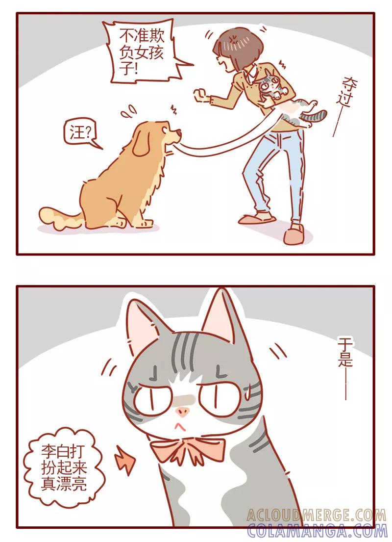 我只是一只小猫咪 第16话 第5页