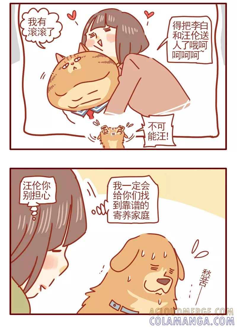 我只是一只小猫咪 第17话 第5页