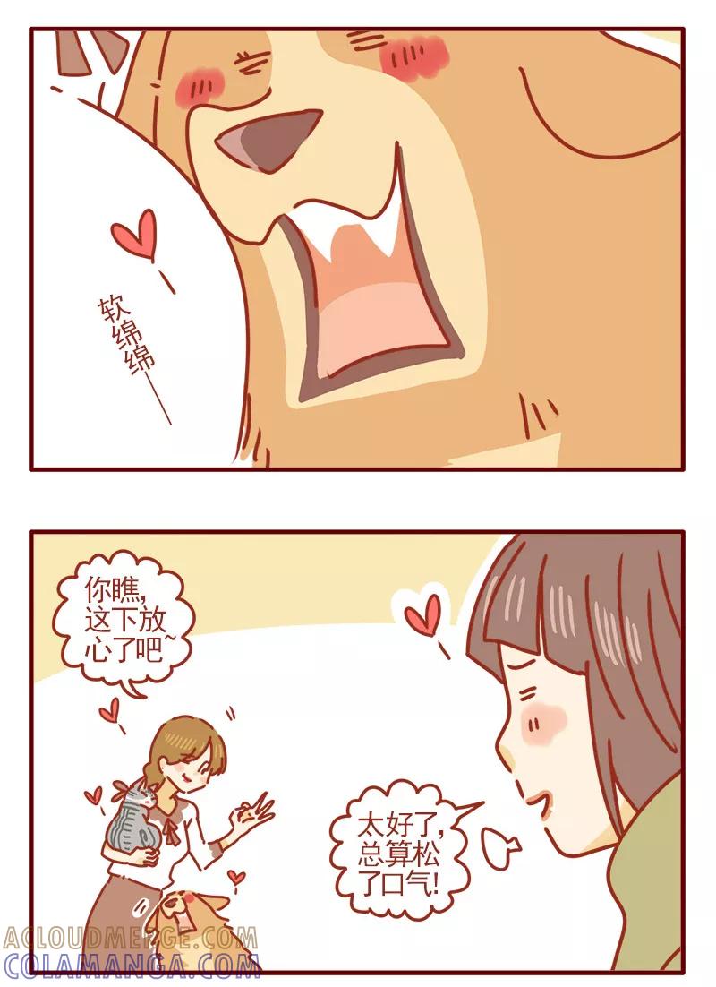 我只是一只小猫咪 第17话 第11页