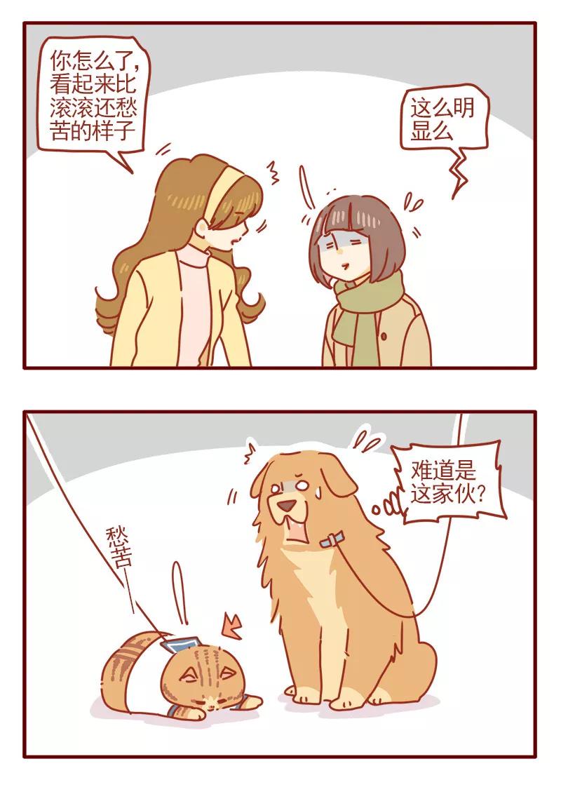 我只是一只小猫咪 第17话 第4页
