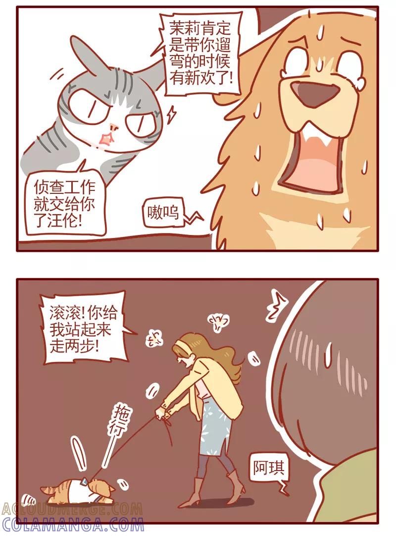 我只是一只小猫咪 第17话 第3页