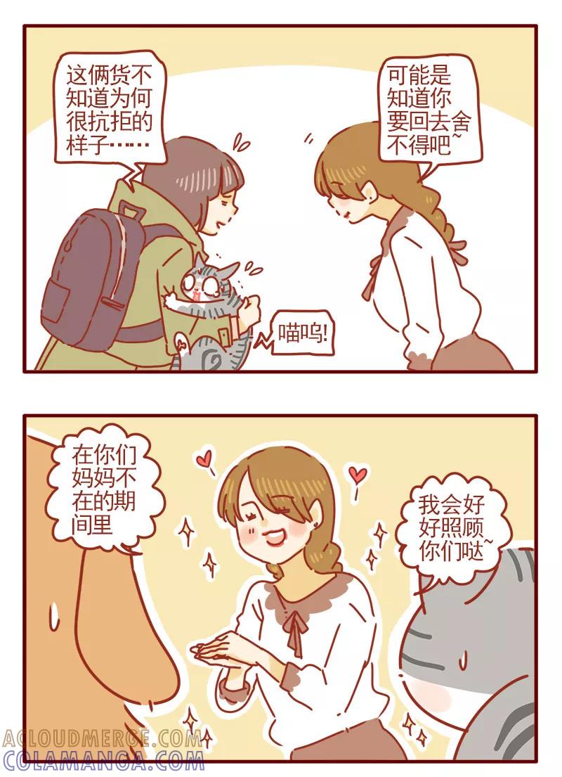 我只是一只小猫咪 第17话 第9页