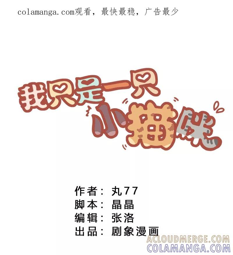 我只是一只小猫咪 第17话 第1页