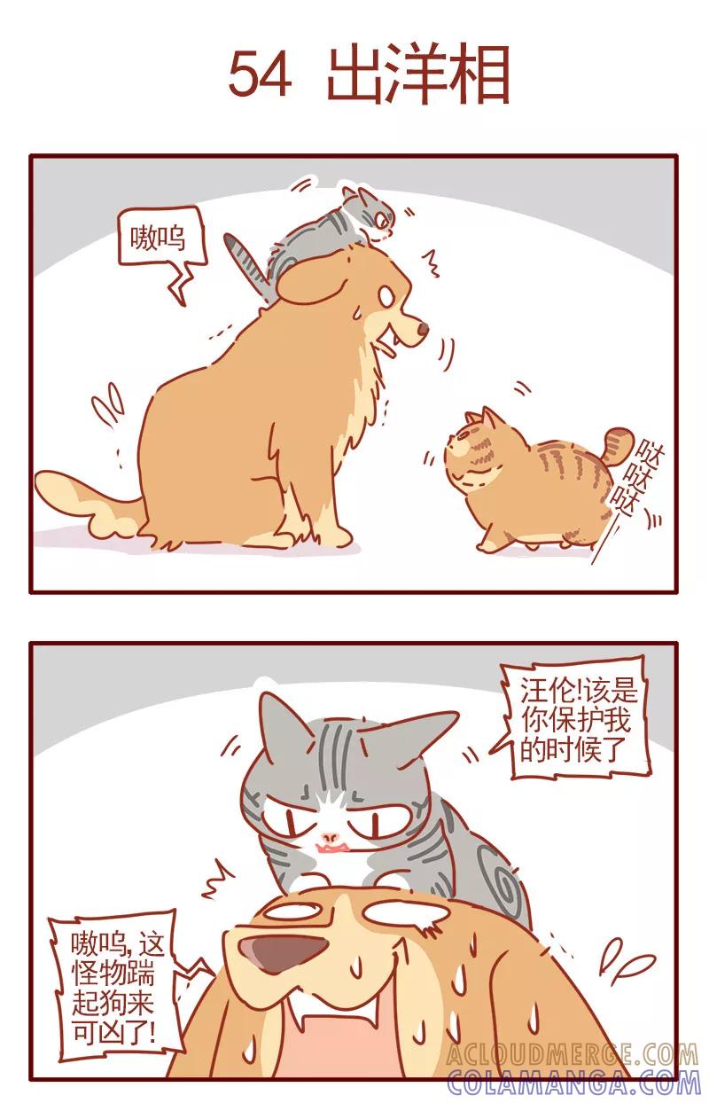 我只是一只小猫咪 第18话 第7页