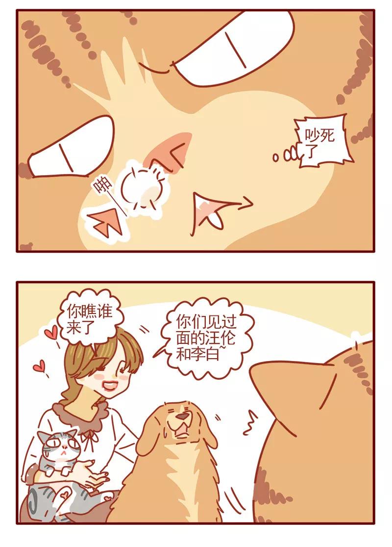 我只是一只小猫咪 第18话 第4页