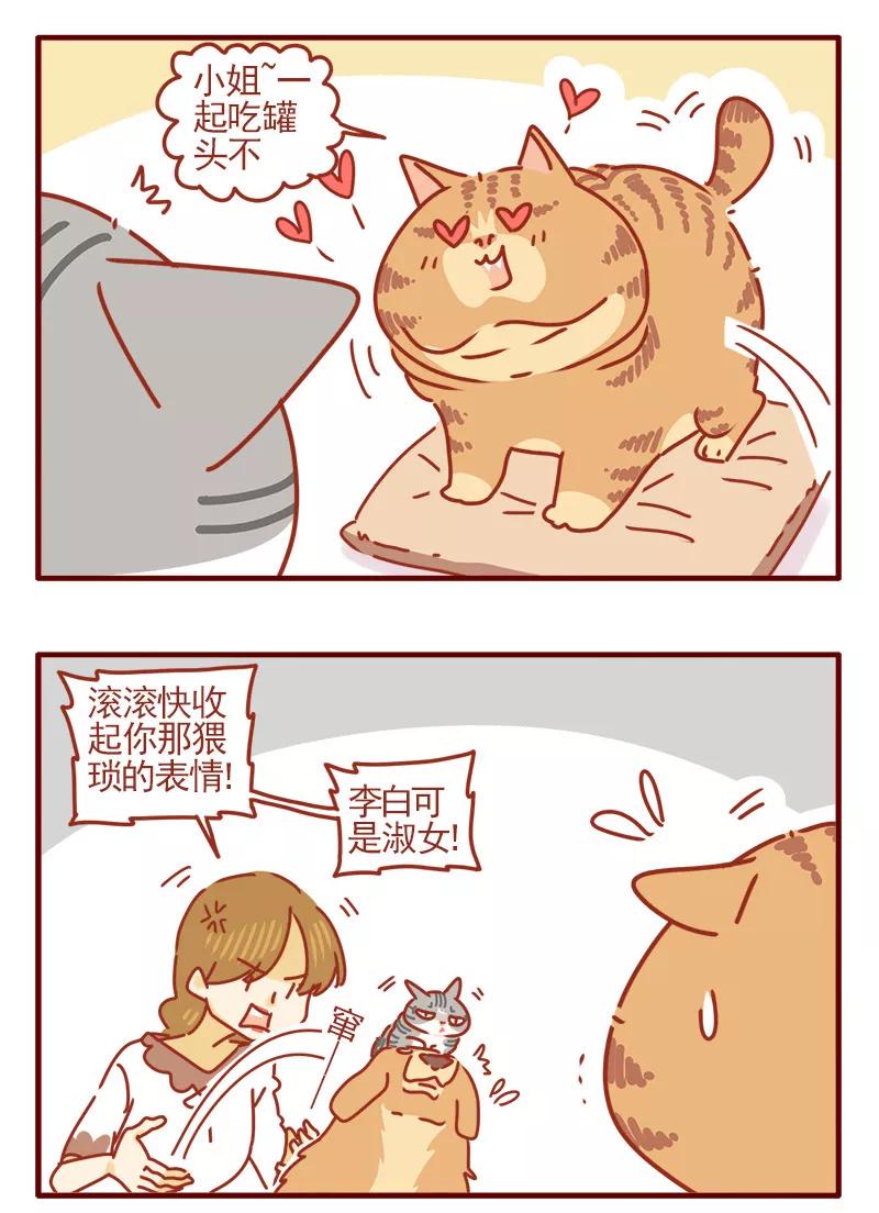 我只是一只小猫咪 第18话 第6页